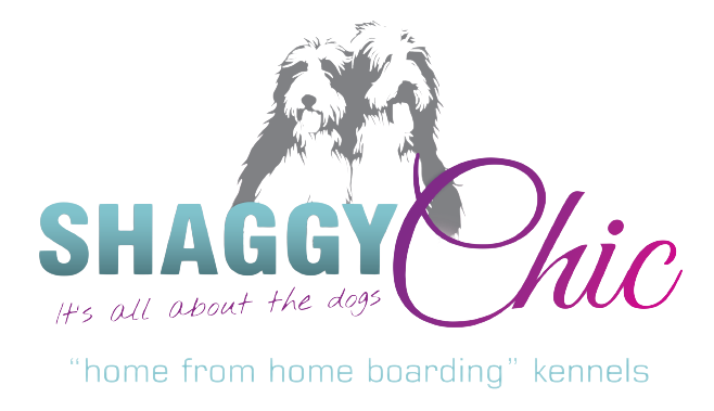 shaggy-chic-logo-rgb-removebg-preview